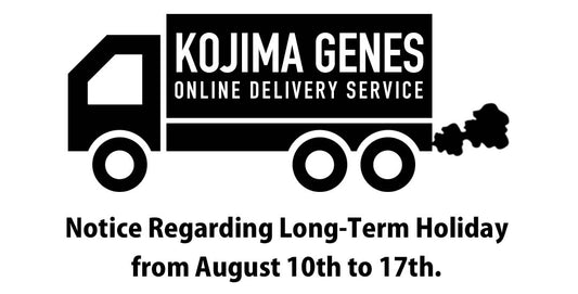 Notice of Summer Holiday Closure (August 10th–17th)